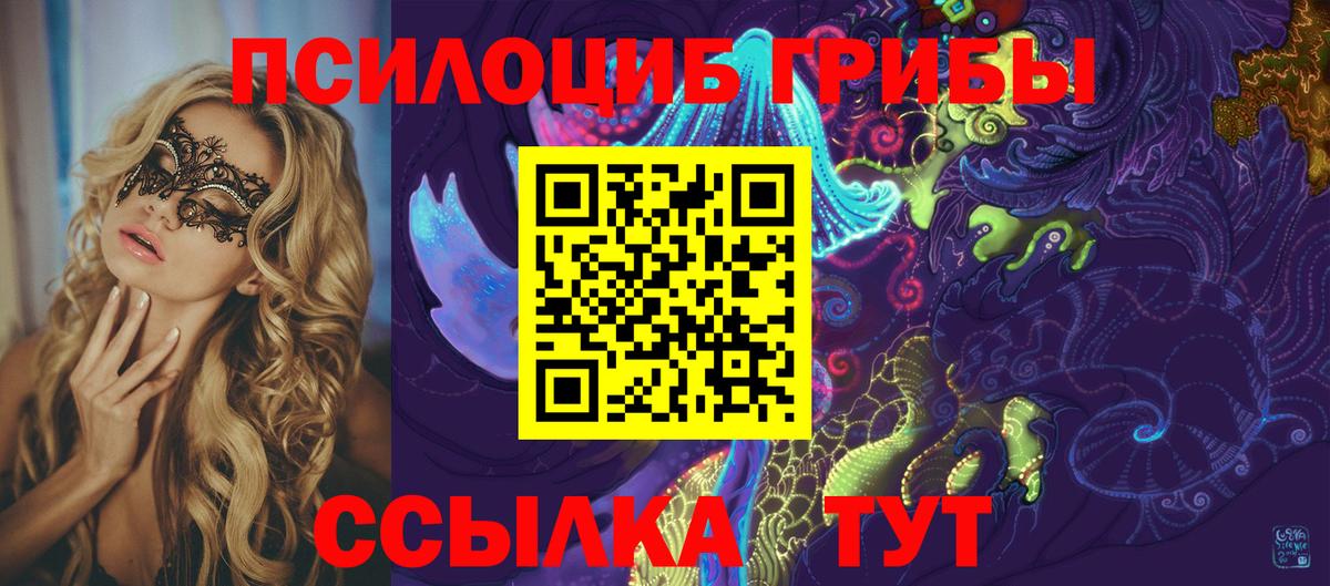 Псилоцибиновые грибы Psilocybe  Галлюциногенные грибы мицелий  Кинель  Вход с VPN 